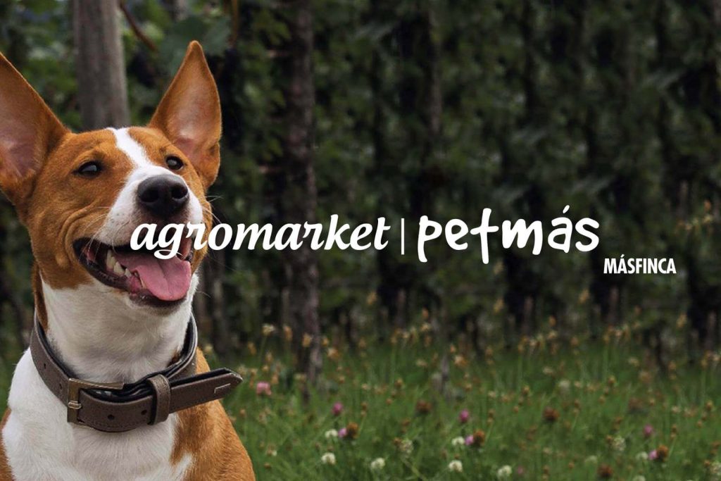 Beneficio Club Intelecto Agromarket Petmas Masfinca