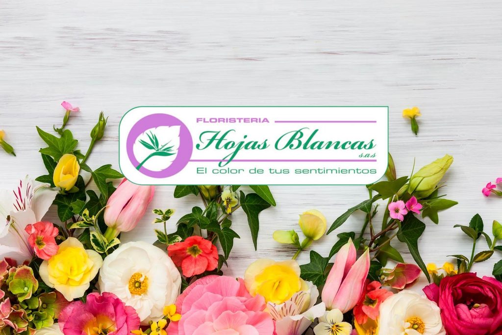 Beneficio Club Intelecto Hojas Blancas