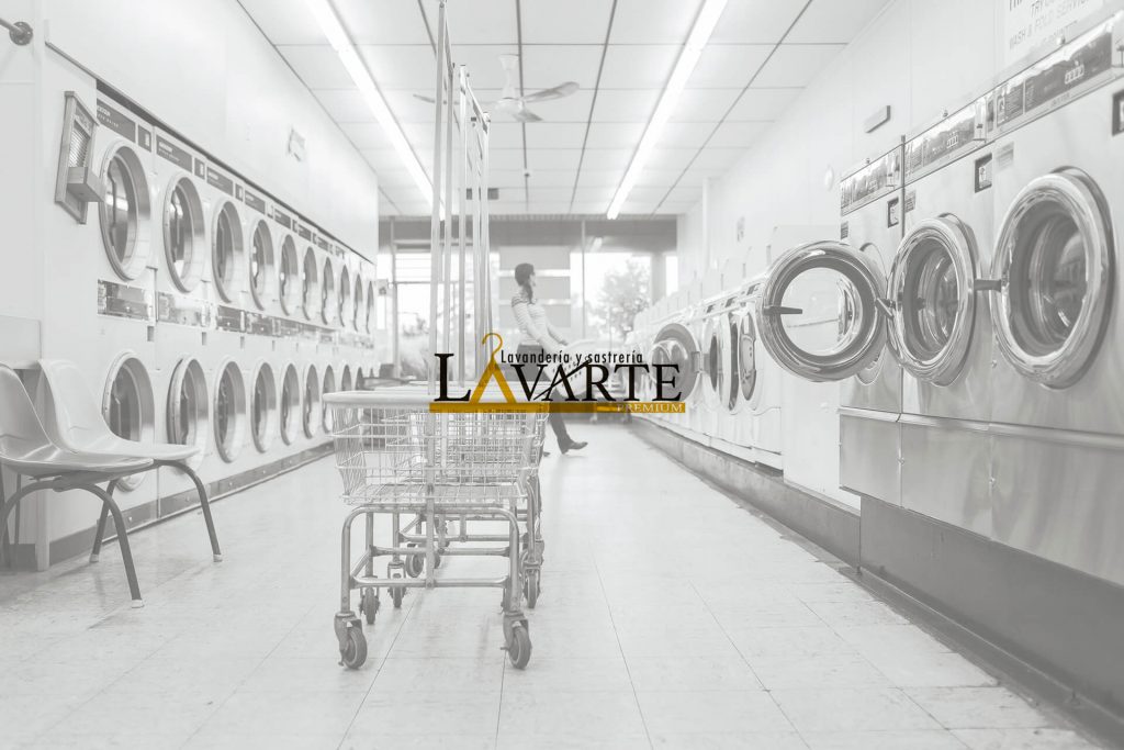 Beneficio Club Intelecto Lavarte Premium