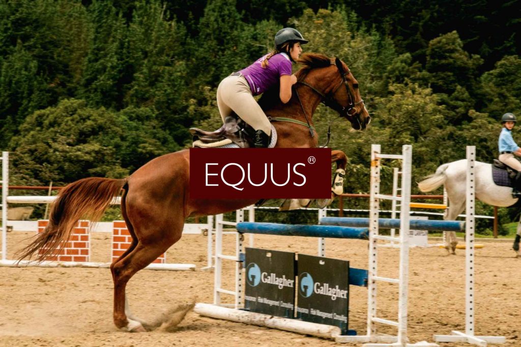 Beneficio Club Intelecto Equus