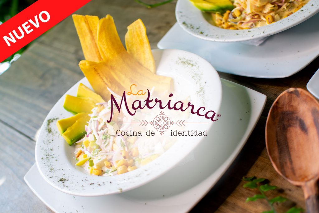 Beneficio Club Intelecto La Matriarca