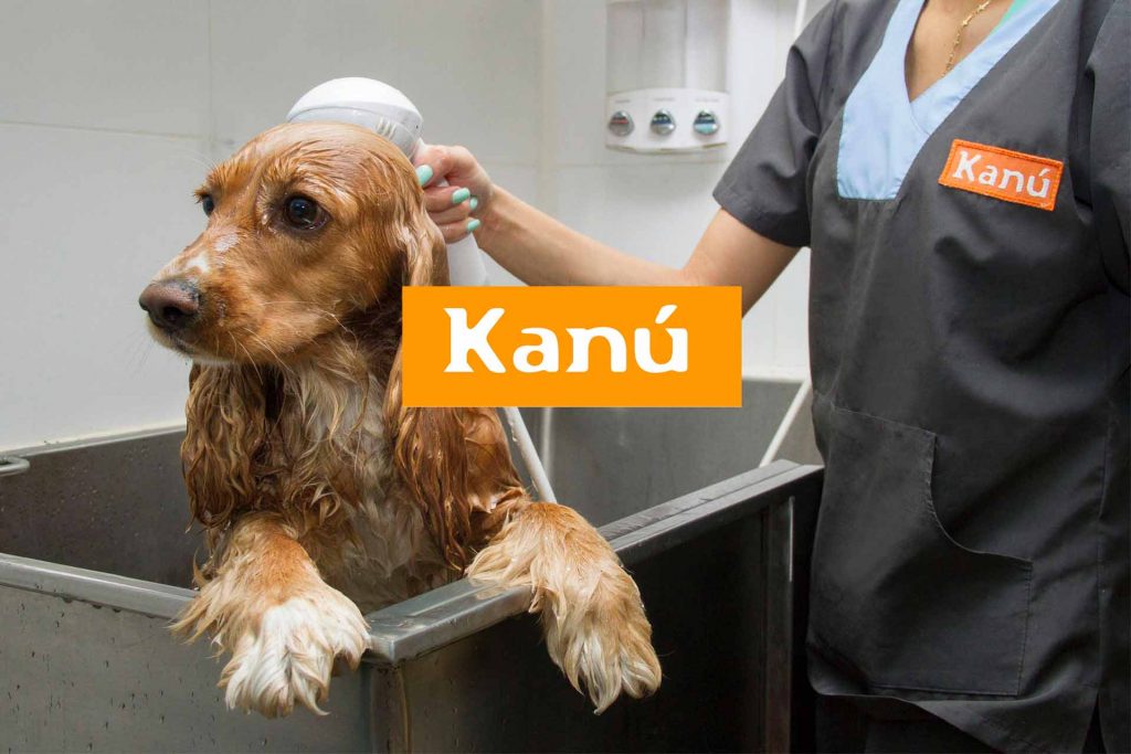 Beneficio Club Intelecto Kanú